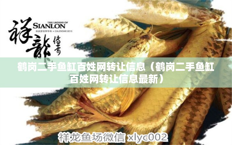 鶴崗二手魚缸百姓網(wǎng)轉讓信息（鶴崗二手魚缸百姓網(wǎng)轉讓信息最新） 委內瑞拉奧里諾三間魚苗