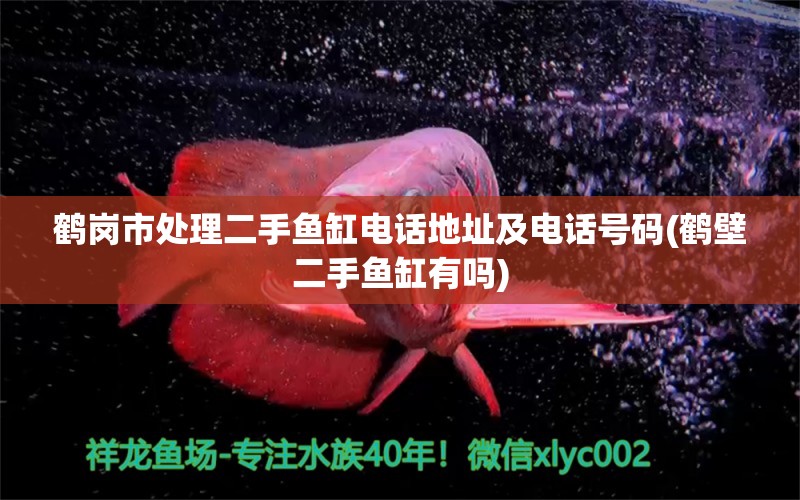 鶴崗市處理二手魚(yú)缸電話地址及電話號(hào)碼(鶴壁二手魚(yú)缸有嗎) PH調(diào)節(jié)劑