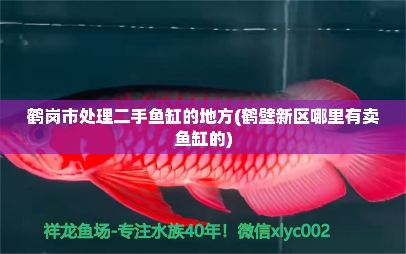 鶴崗市處理二手魚缸的地方(鶴壁新區(qū)哪里有賣魚缸的)