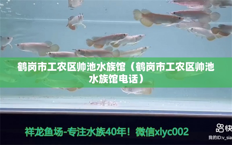 鶴崗市工農(nóng)區(qū)帥池水族館（鶴崗市工農(nóng)區(qū)帥池水族館電話）