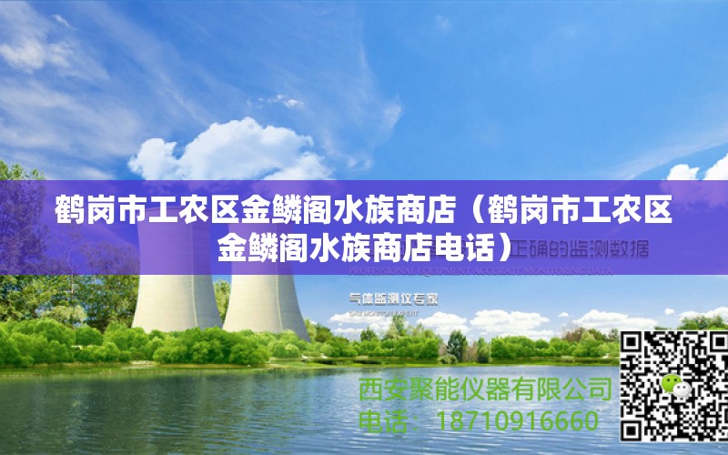 鶴崗市工農(nóng)區(qū)金鱗閣水族商店（鶴崗市工農(nóng)區(qū)金鱗閣水族商店電話）