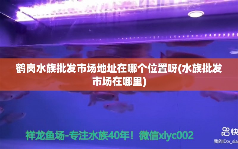 鶴崗水族批發(fā)市場(chǎng)地址在哪個(gè)位置呀(水族批發(fā)市場(chǎng)在哪里) 觀賞魚水族批發(fā)市場(chǎng)