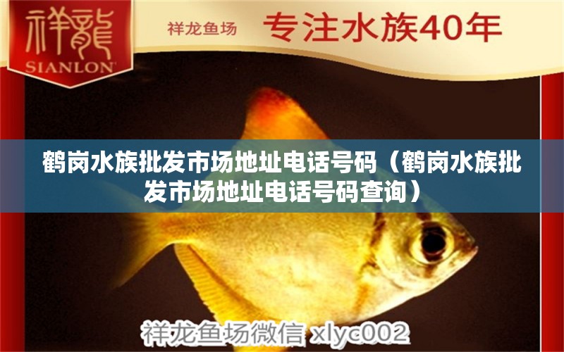 鶴崗水族批發(fā)市場地址電話號碼（鶴崗水族批發(fā)市場地址電話號碼查詢） 觀賞魚水族批發(fā)市場