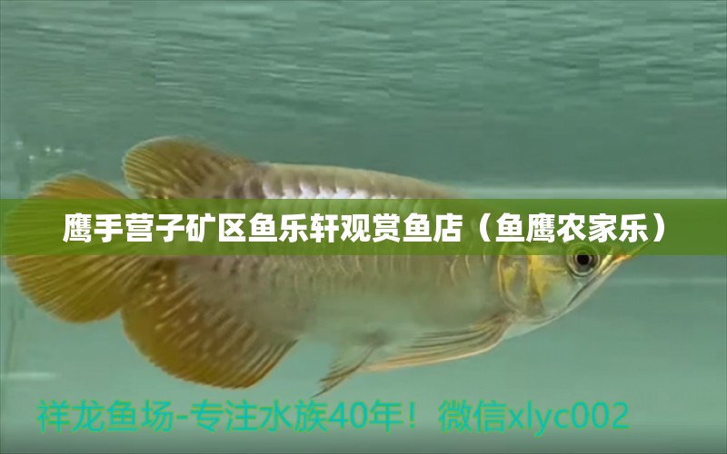 鷹手營子礦區(qū)魚樂軒觀賞魚店（魚鷹農(nóng)家樂）