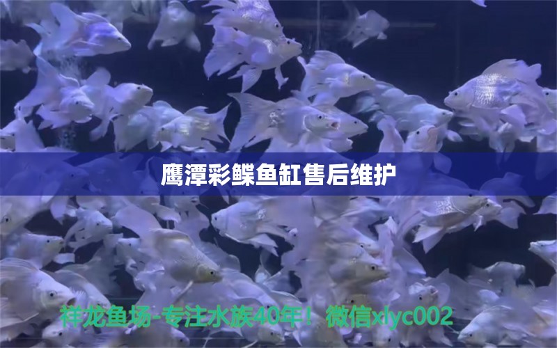 鷹潭彩鰈魚缸售后維護(hù)