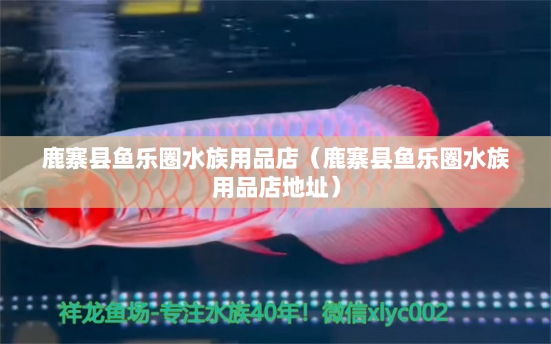 鹿寨縣魚樂圈水族用品店（鹿寨縣魚樂圈水族用品店地址） 水族用品