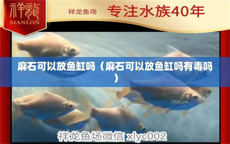 麻石可以放魚(yú)缸嗎（麻石可以放魚(yú)缸嗎有毒嗎） 其他品牌魚(yú)缸