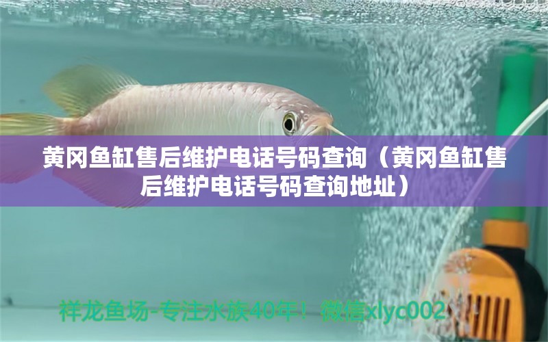 黃岡魚缸售后維護電話號碼查詢（黃岡魚缸售后維護電話號碼查詢地址）