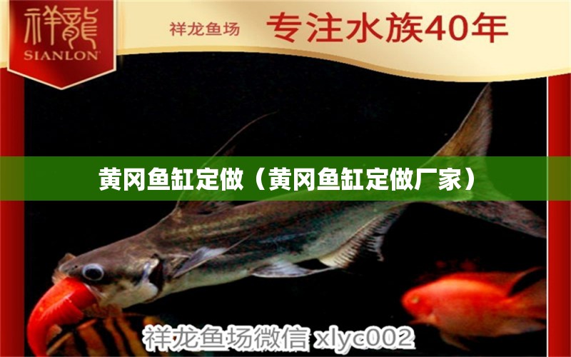 黃岡魚缸定做（黃岡魚缸定做廠家） PH調(diào)節(jié)劑