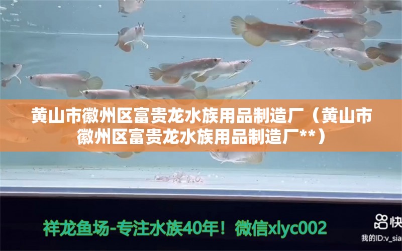 黃山市徽州區(qū)富貴龍水族用品制造廠（黃山市徽州區(qū)富貴龍水族用品制造廠**） 水族用品