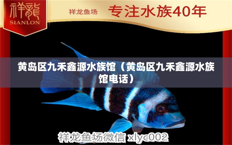 黃島區(qū)九禾鑫源水族館（黃島區(qū)九禾鑫源水族館電話）