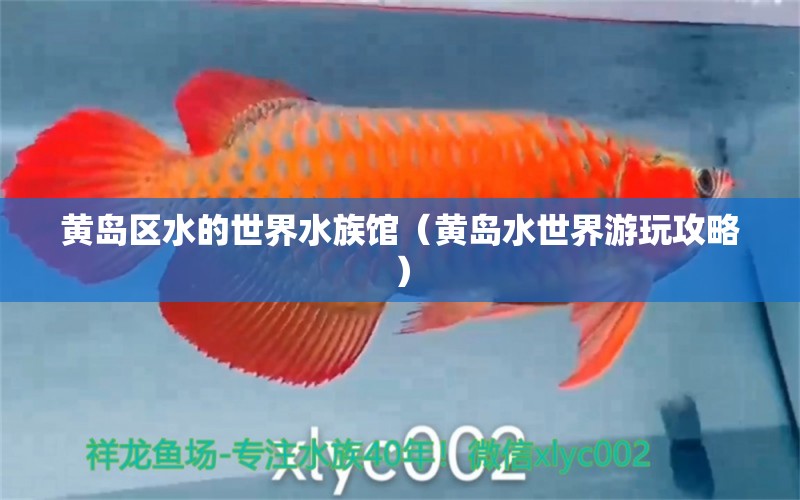 黃島區(qū)水的世界水族館（黃島水世界游玩攻略） 全國水族館企業(yè)名錄