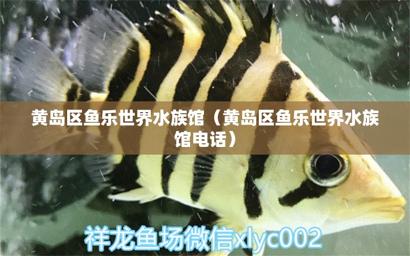 黃島區(qū)魚(yú)樂(lè)世界水族館（黃島區(qū)魚(yú)樂(lè)世界水族館電話）