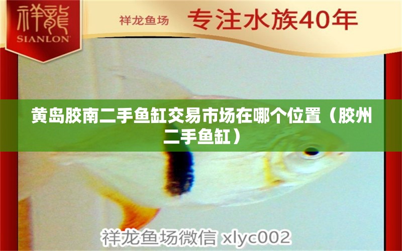 黃島膠南二手魚缸交易市場在哪個位置（膠州二手魚缸） 其他益生菌