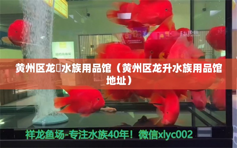 黃州區(qū)龍昇水族用品館（黃州區(qū)龍升水族用品館地址）