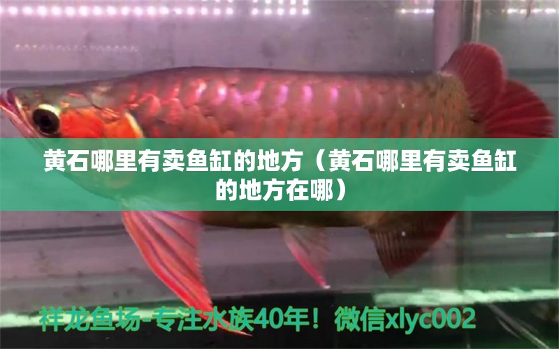 黃石哪里有賣魚缸的地方（黃石哪里有賣魚缸的地方在哪） 其他品牌魚缸