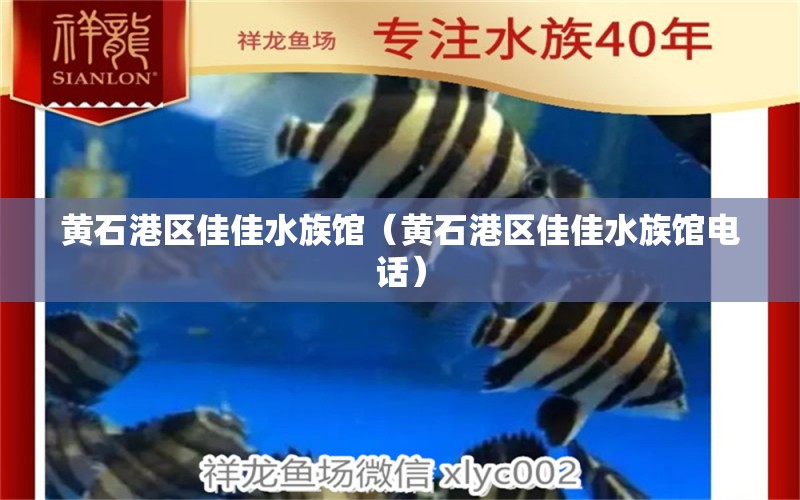 黃石港區(qū)佳佳水族館（黃石港區(qū)佳佳水族館電話）