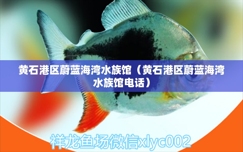 黃石港區(qū)蔚藍(lán)海灣水族館（黃石港區(qū)蔚藍(lán)海灣水族館電話）