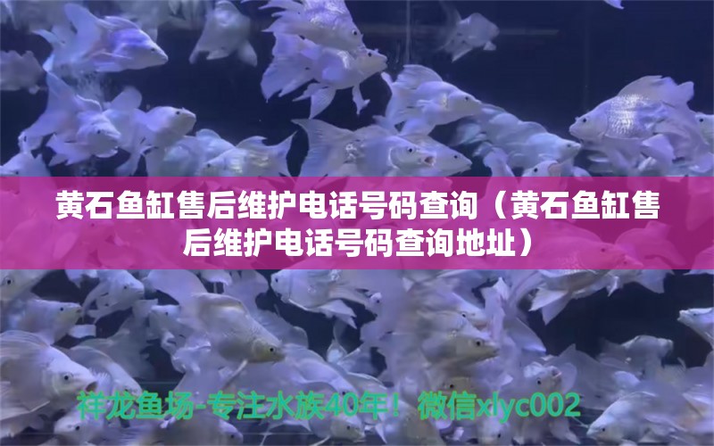 黃石魚缸售后維護(hù)電話號(hào)碼查詢（黃石魚缸售后維護(hù)電話號(hào)碼查詢地址）