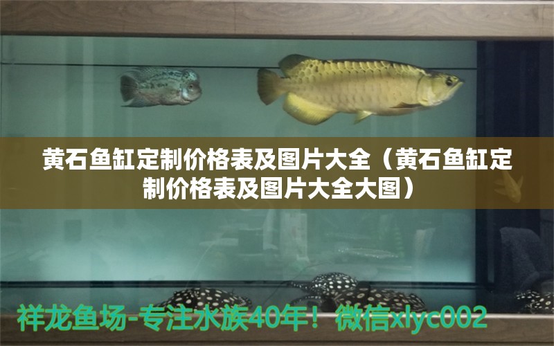 黃石魚缸定制價格表及圖片大全（黃石魚缸定制價格表及圖片大全大圖） 馬拉莫寶石魚苗