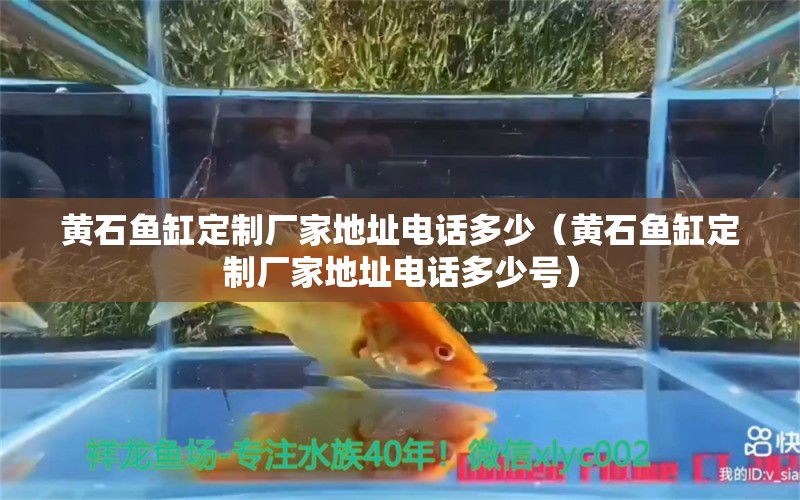 黃石魚缸定制廠家地址電話多少（黃石魚缸定制廠家地址電話多少號） 祥龍魚場