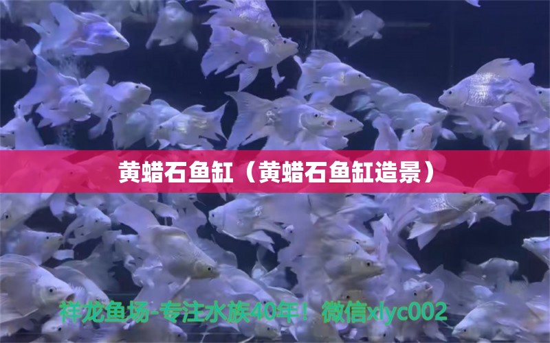 黃蠟石魚缸（黃蠟石魚缸造景）