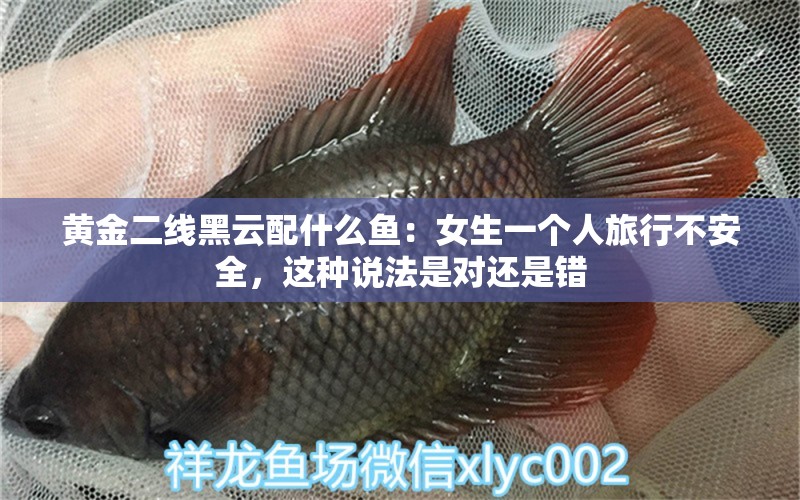 黃金二線黑云配什么魚：女生一個(gè)人旅行不安全，這種說法是對(duì)還是錯(cuò)