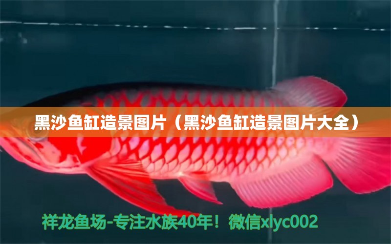 黑沙魚缸造景圖片（黑沙魚缸造景圖片大全）