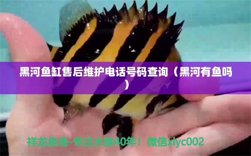 黑河魚缸售后維護電話號碼查詢（黑河有魚嗎） 其他品牌魚缸