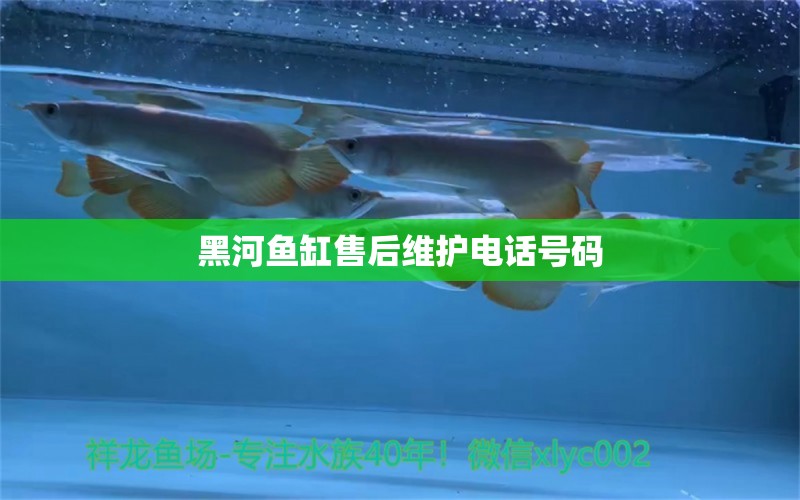 黑河魚缸售后維護(hù)電話號碼