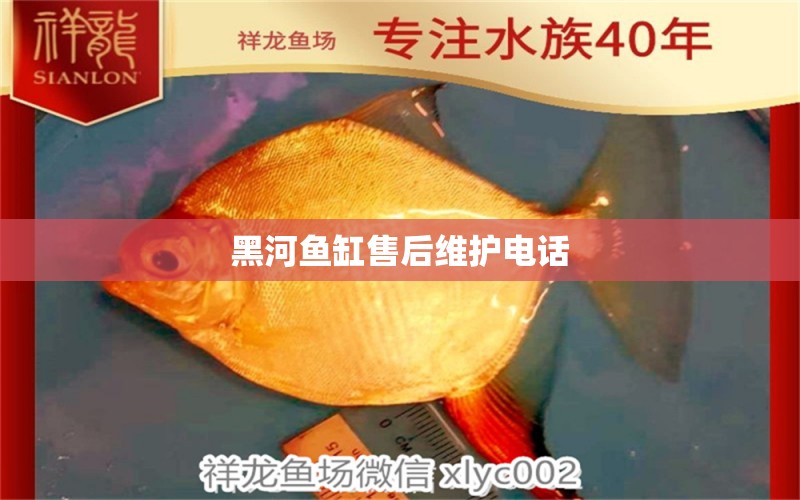 黑河魚缸售后維護(hù)電話