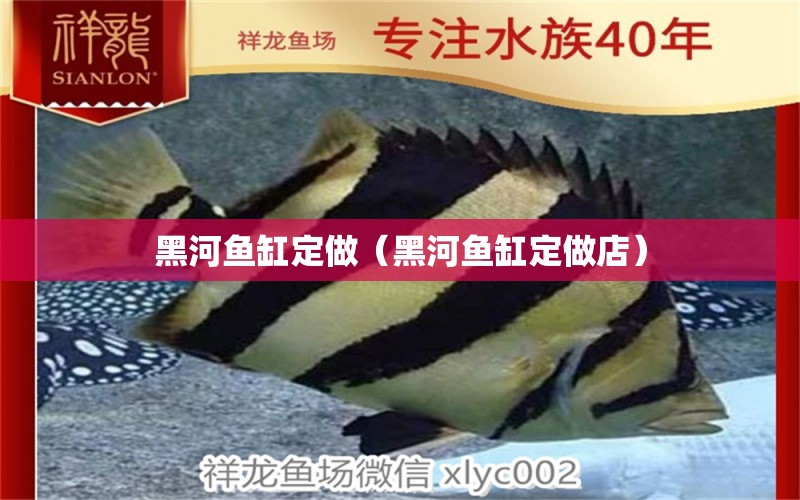 黑河魚(yú)缸定做（黑河魚(yú)缸定做店）