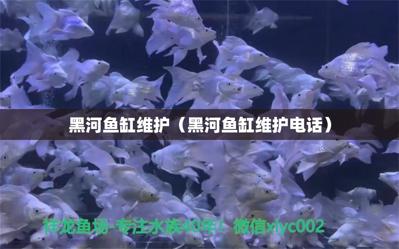 黑河魚缸維護(hù)（黑河魚缸維護(hù)電話）