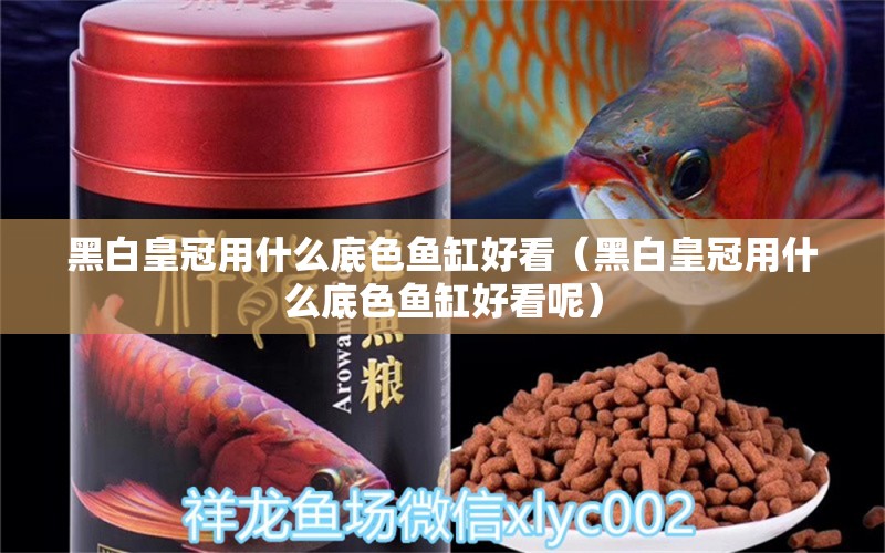 黑白皇冠用什么底色魚缸好看（黑白皇冠用什么底色魚缸好看呢）