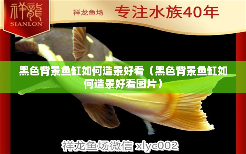 黑色背景魚(yú)缸如何造景好看（黑色背景魚(yú)缸如何造景好看圖片）