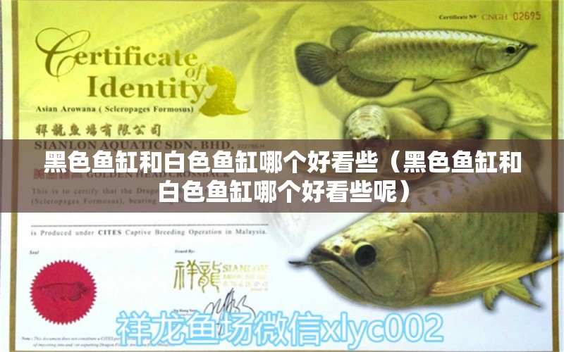 黑色魚缸和白色魚缸哪個好看些（黑色魚缸和白色魚缸哪個好看些呢）