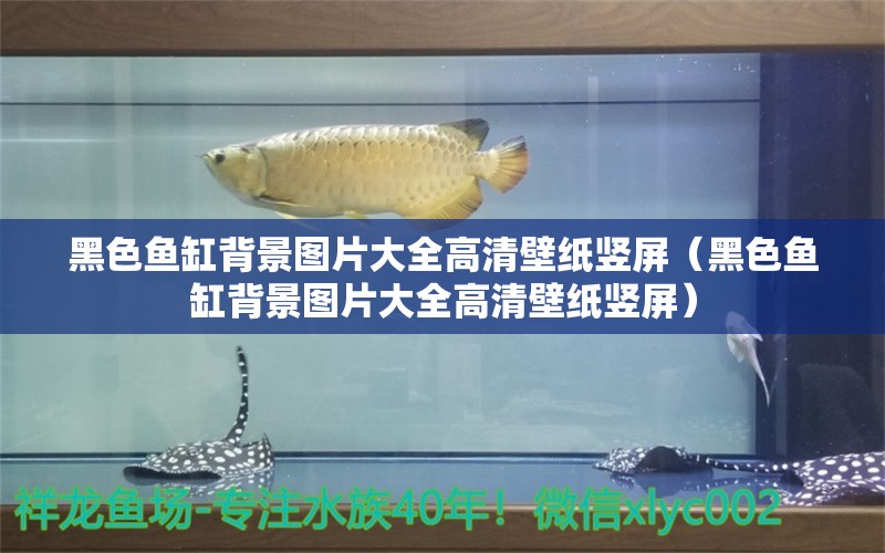 黑色魚缸背景圖片大全高清壁紙豎屏（黑色魚缸背景圖片大全高清壁紙豎屏） 祥龍傳奇品牌魚缸