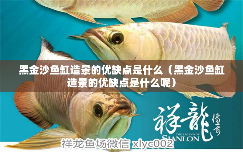 黑金沙魚缸造景的優(yōu)缺點是什么（黑金沙魚缸造景的優(yōu)缺點是什么呢）