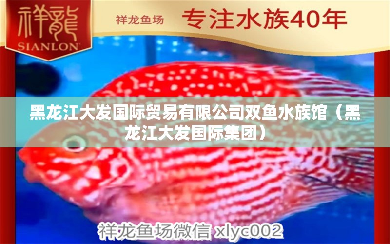 黑龍江大發(fā)國際貿(mào)易有限公司雙魚水族館（黑龍江大發(fā)國際集團(tuán)）