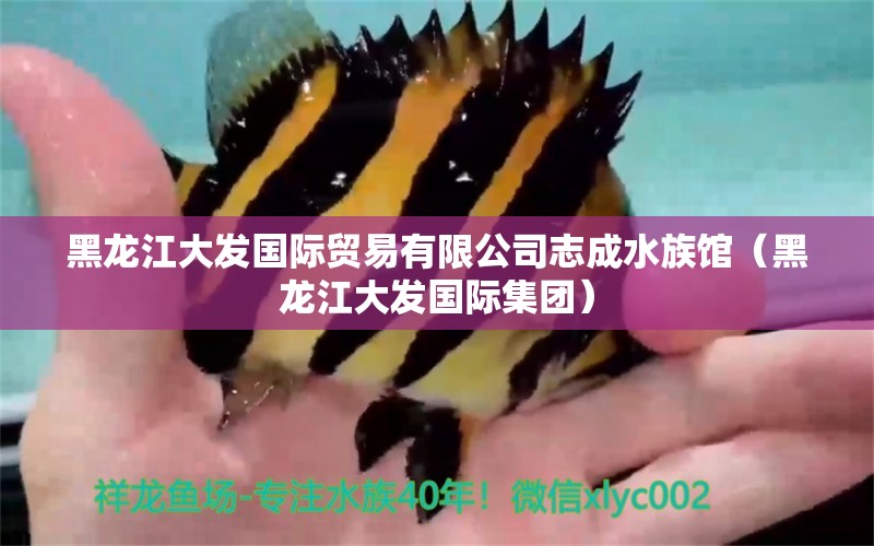 黑龍江大發(fā)國際貿(mào)易有限公司志成水族館（黑龍江大發(fā)國際集團(tuán)）