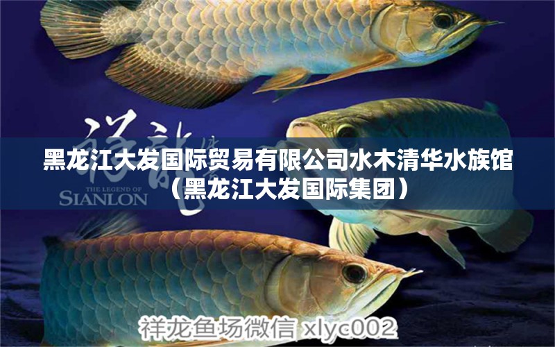 黑龍江大發(fā)國際貿(mào)易有限公司水木清華水族館（黑龍江大發(fā)國際集團(tuán)）