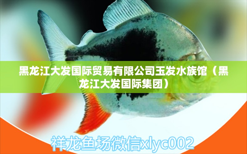 黑龍江大發(fā)國際貿(mào)易有限公司玉發(fā)水族館（黑龍江大發(fā)國際集團(tuán)）