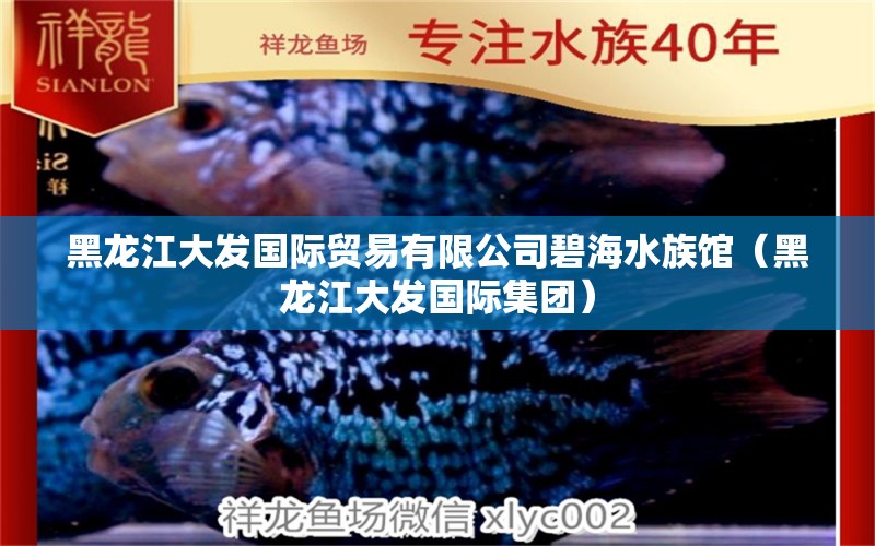 黑龍江大發(fā)國(guó)際貿(mào)易有限公司碧海水族館（黑龍江大發(fā)國(guó)際集團(tuán)）