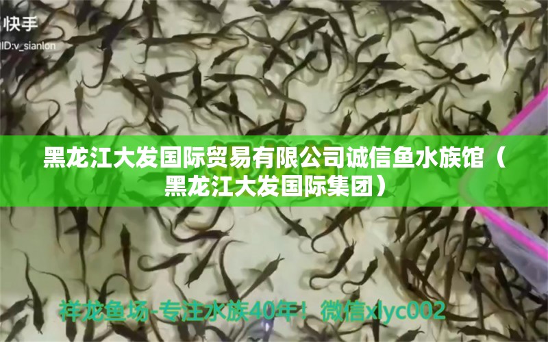 黑龍江大發(fā)國際貿(mào)易有限公司誠信魚水族館（黑龍江大發(fā)國際集團(tuán)）