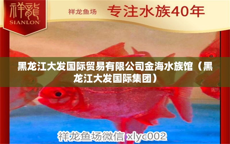 黑龍江大發(fā)國際貿(mào)易有限公司金海水族館（黑龍江大發(fā)國際集團(tuán)）