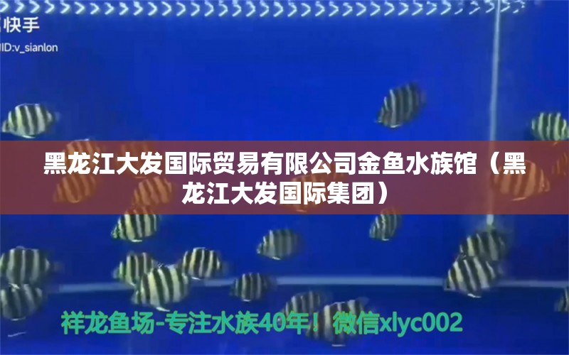 黑龍江大發(fā)國際貿(mào)易有限公司金魚水族館（黑龍江大發(fā)國際集團(tuán)）