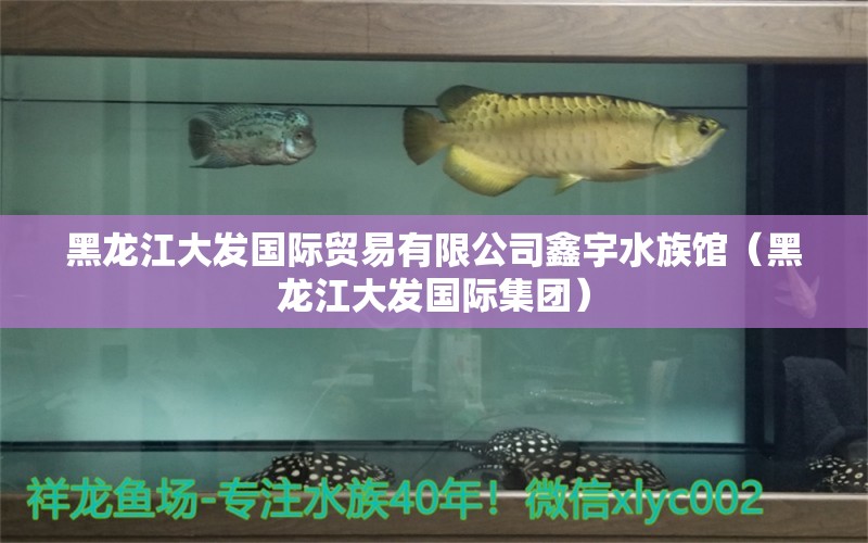 黑龍江大發(fā)國際貿(mào)易有限公司鑫宇水族館（黑龍江大發(fā)國際集團(tuán)） 全國水族館企業(yè)名錄