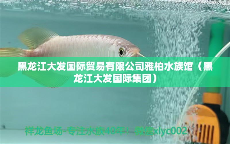 黑龍江大發(fā)國際貿(mào)易有限公司雅柏水族館（黑龍江大發(fā)國際集團(tuán)）