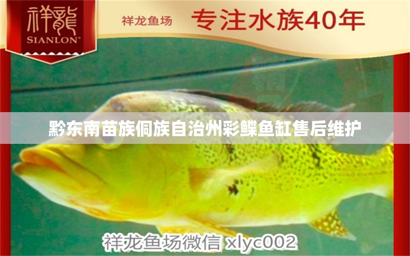 黔東南苗族侗族自治州彩鰈魚缸售后維護(hù) 彩鰈魚缸（彩蝶魚缸）