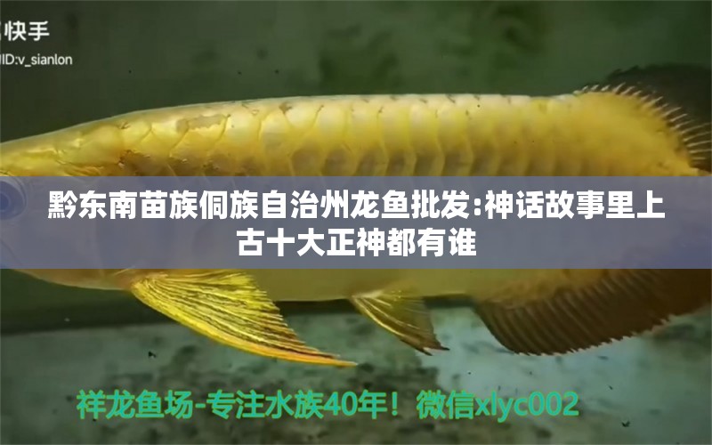 黔東南苗族侗族自治州龍魚批發(fā):神話故事里上古十大正神都有誰